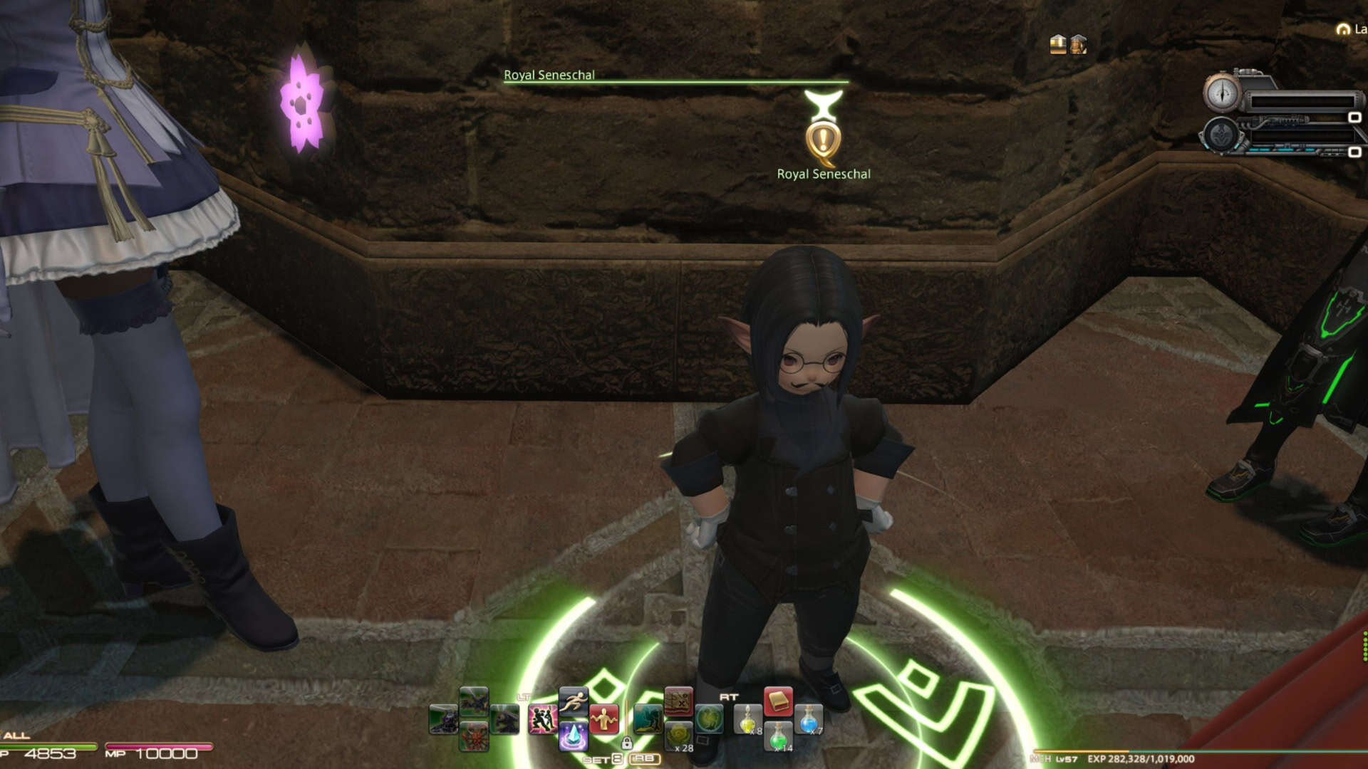 Final Fantasy 14 Royal Seneschal