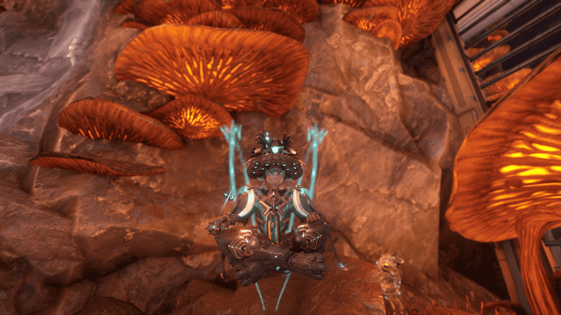 Nokko from Warframe meditating near some mushrooms and a rock wall.