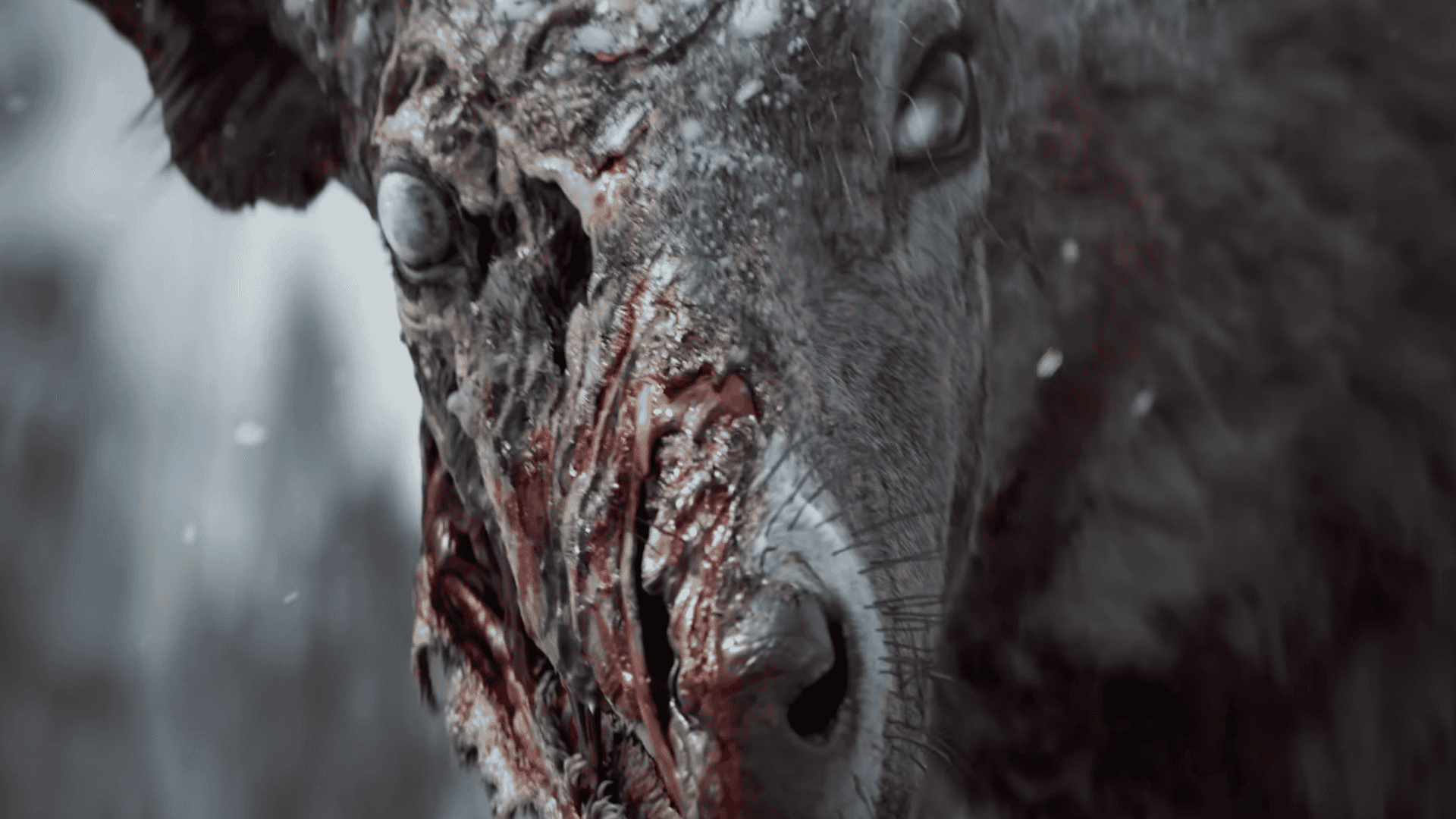 state of decay 3