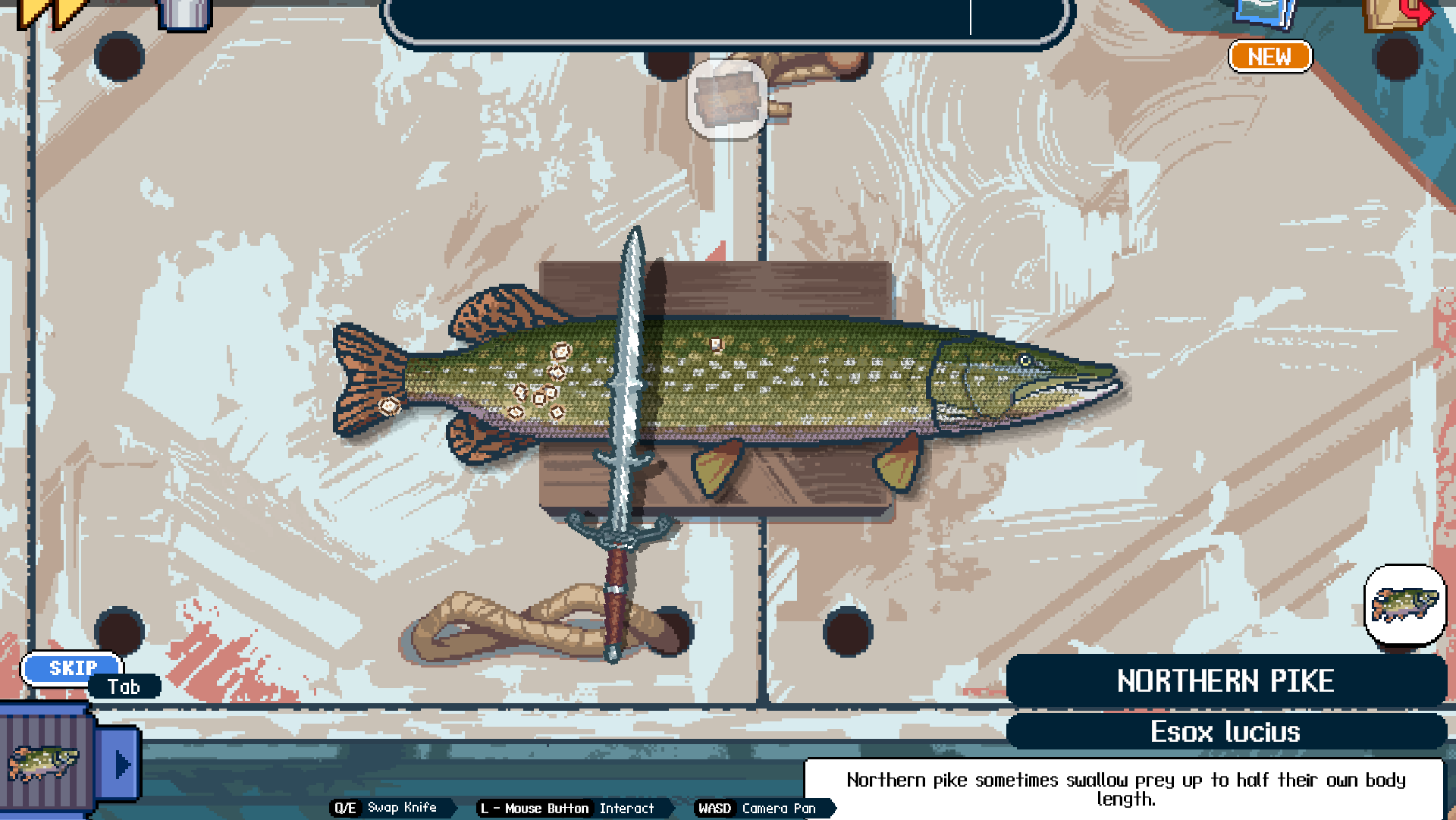 descaling a fish