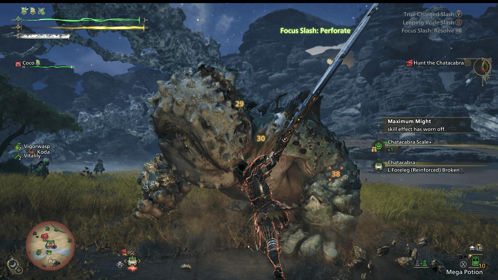 Screenshot from Monster Hunter Wilds showing a female hunter clad in golden armor and wielding a greatsword attacking a Chatacabra, a frog-like monster.