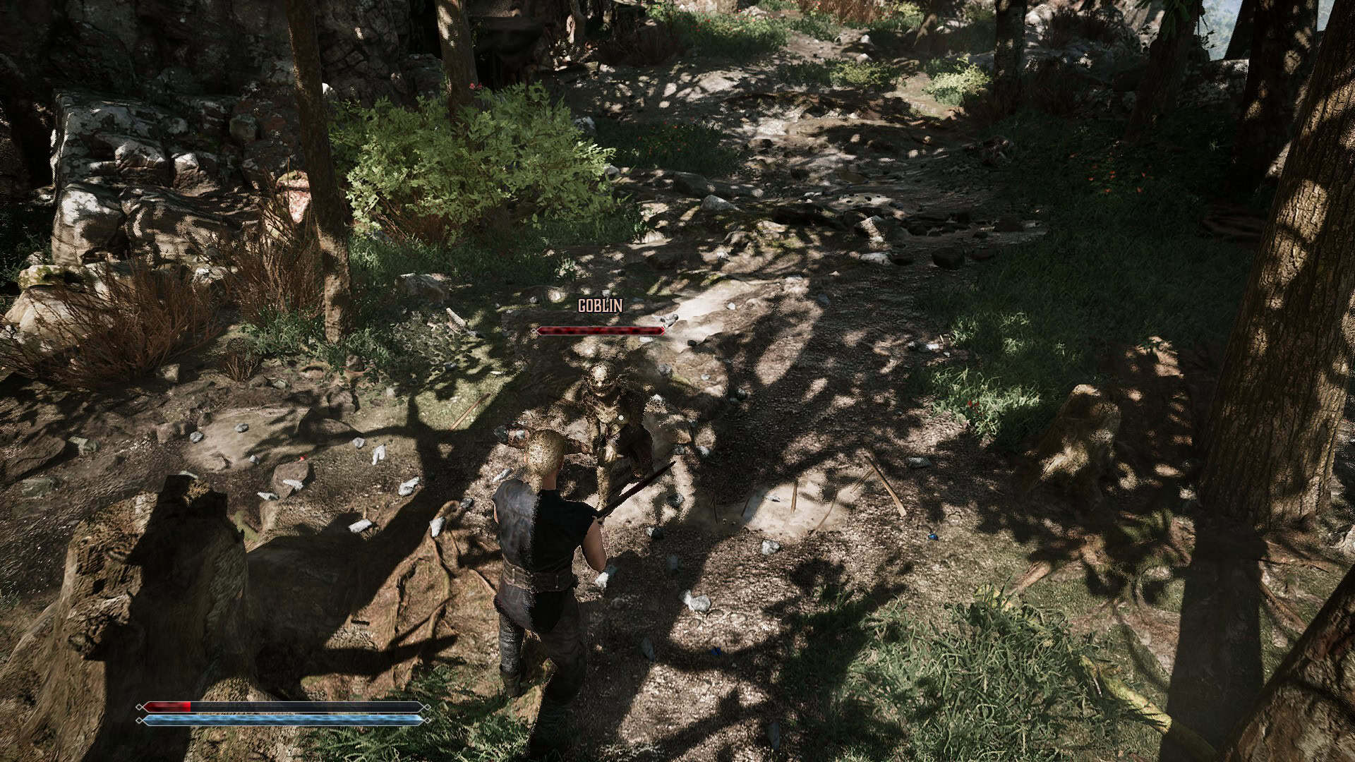 Nameless Hero fighting a goblin