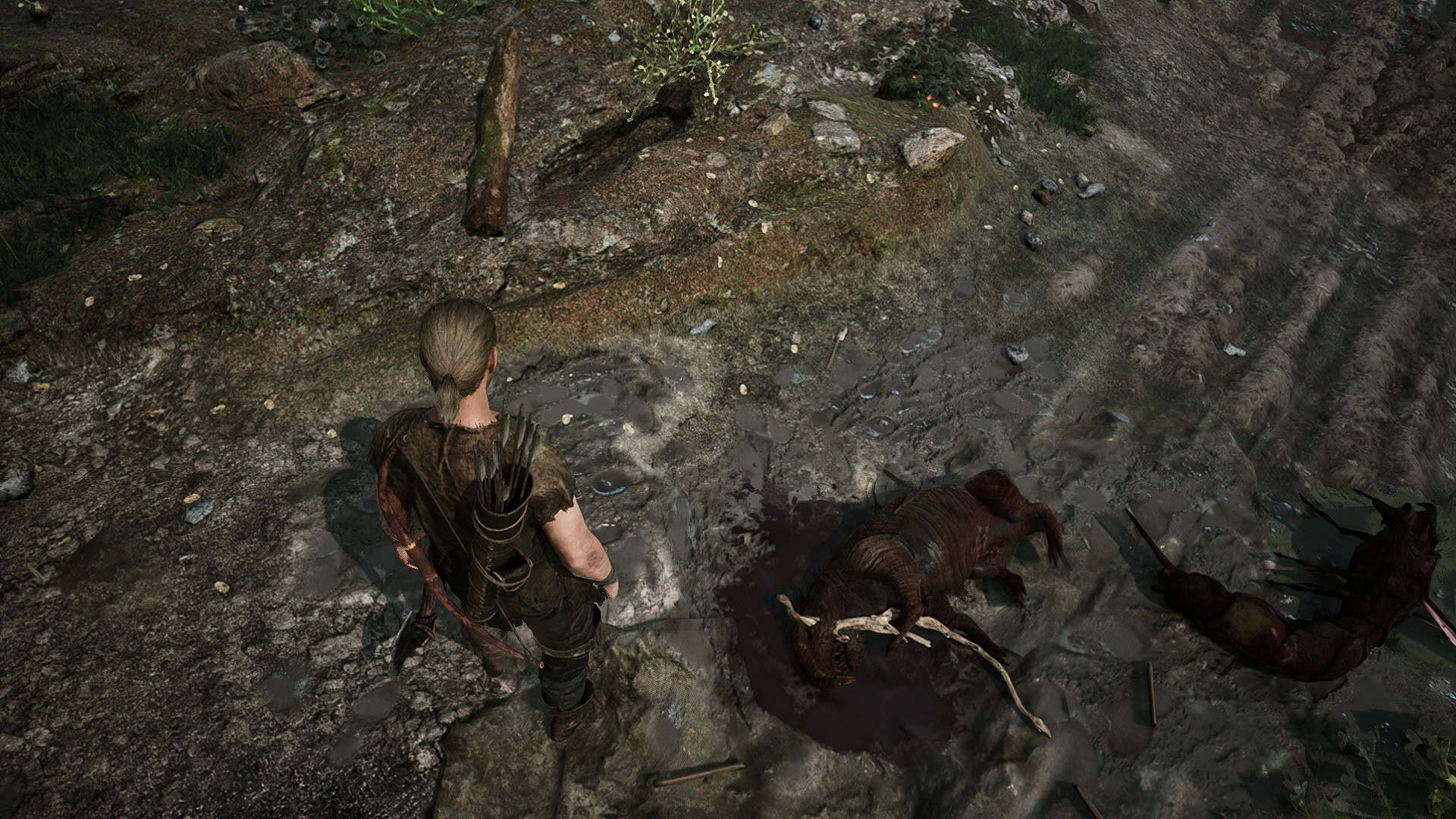 A decaying body of a molerat in Gothic Remake