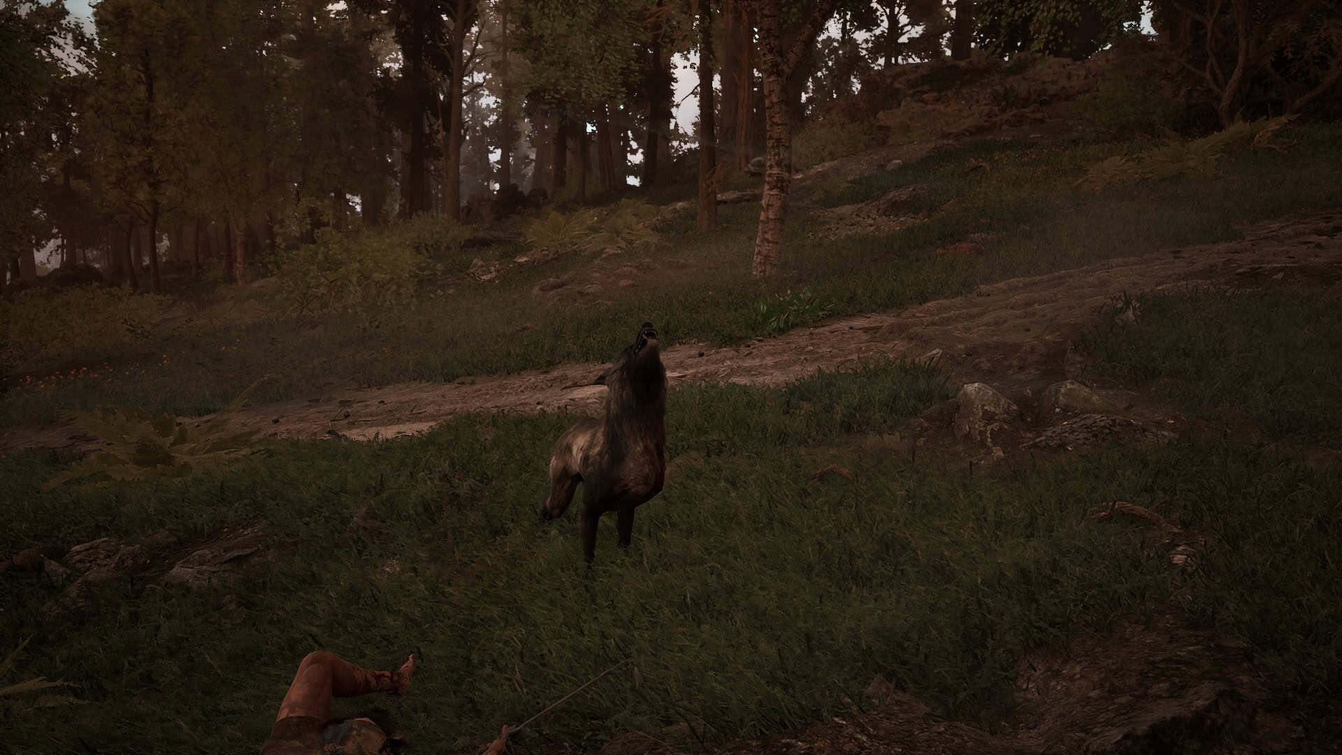 A wolf howling over a dead player in Gothic 1 Remake