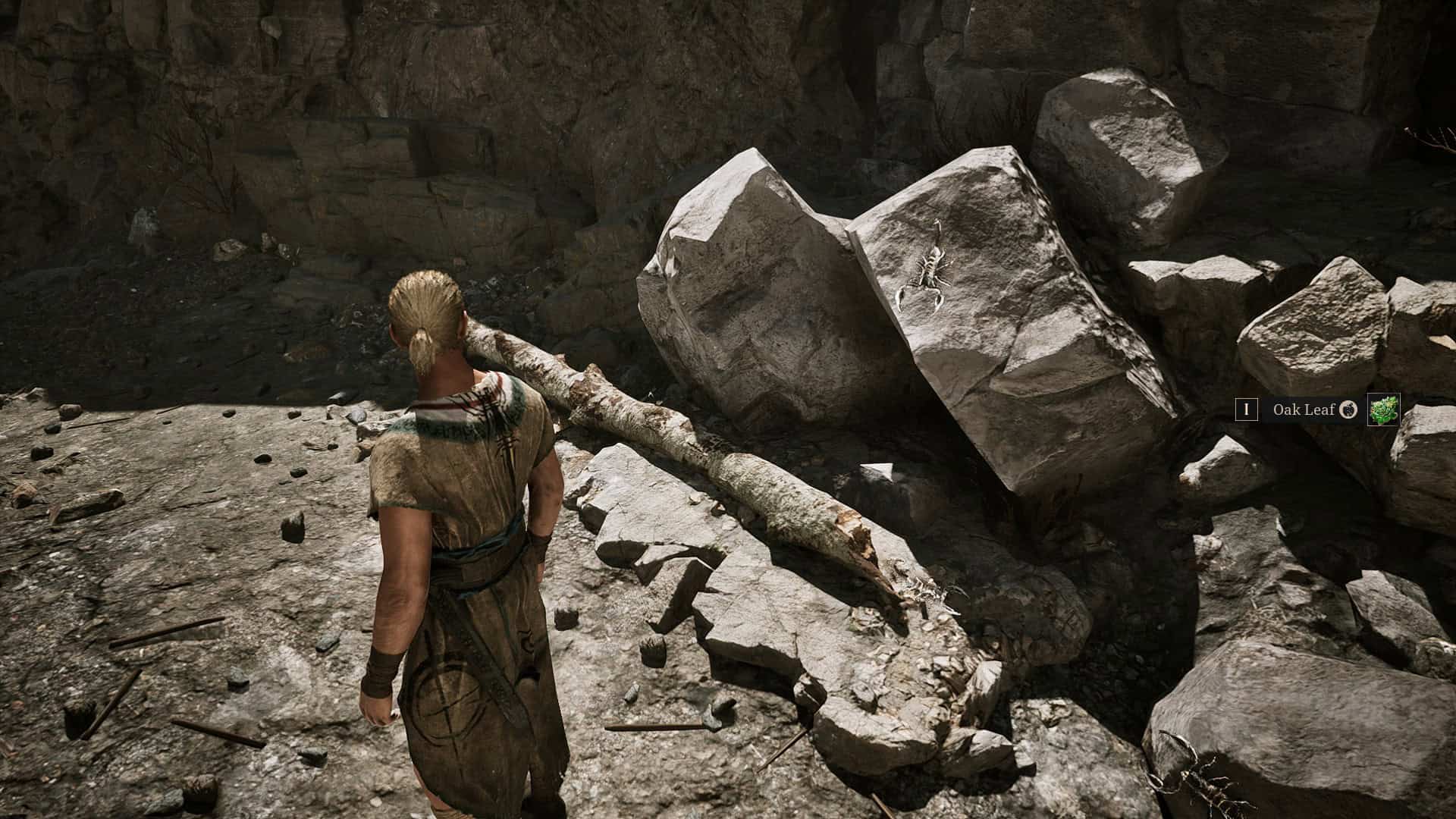 Scorpions crawling up rocks in Gothic Remake