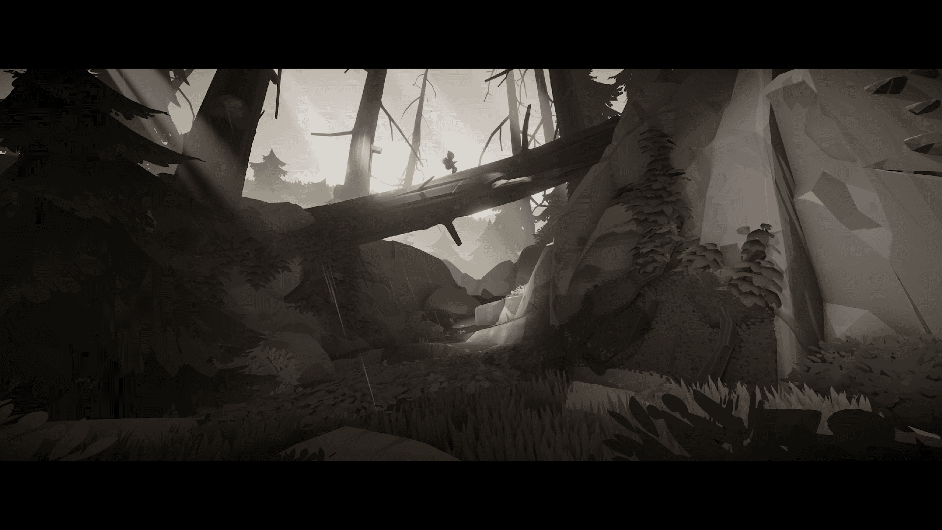The boy crossing a giant fallen log