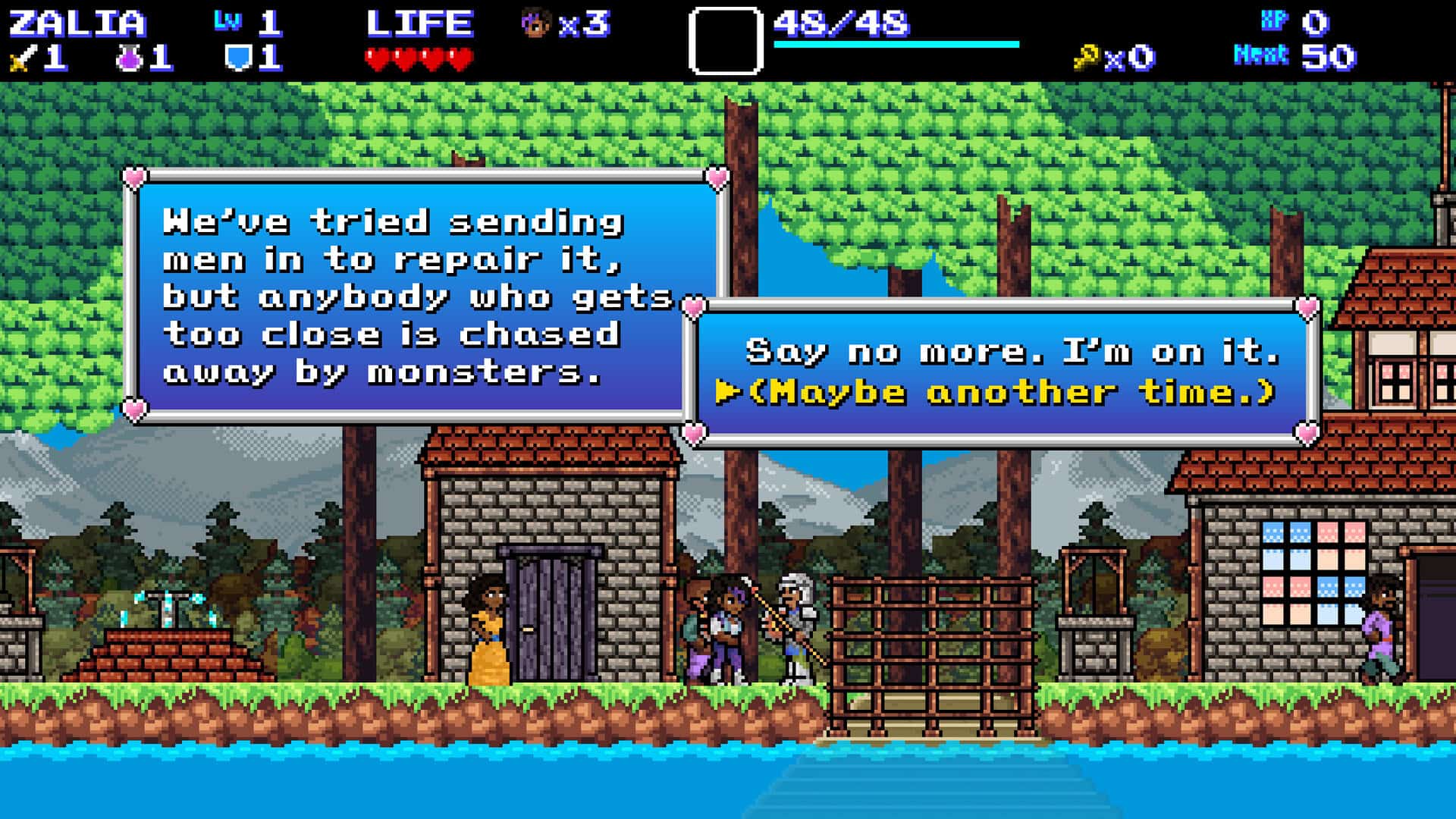 A guard inside a village asking the player character about clearing out an area from monsters