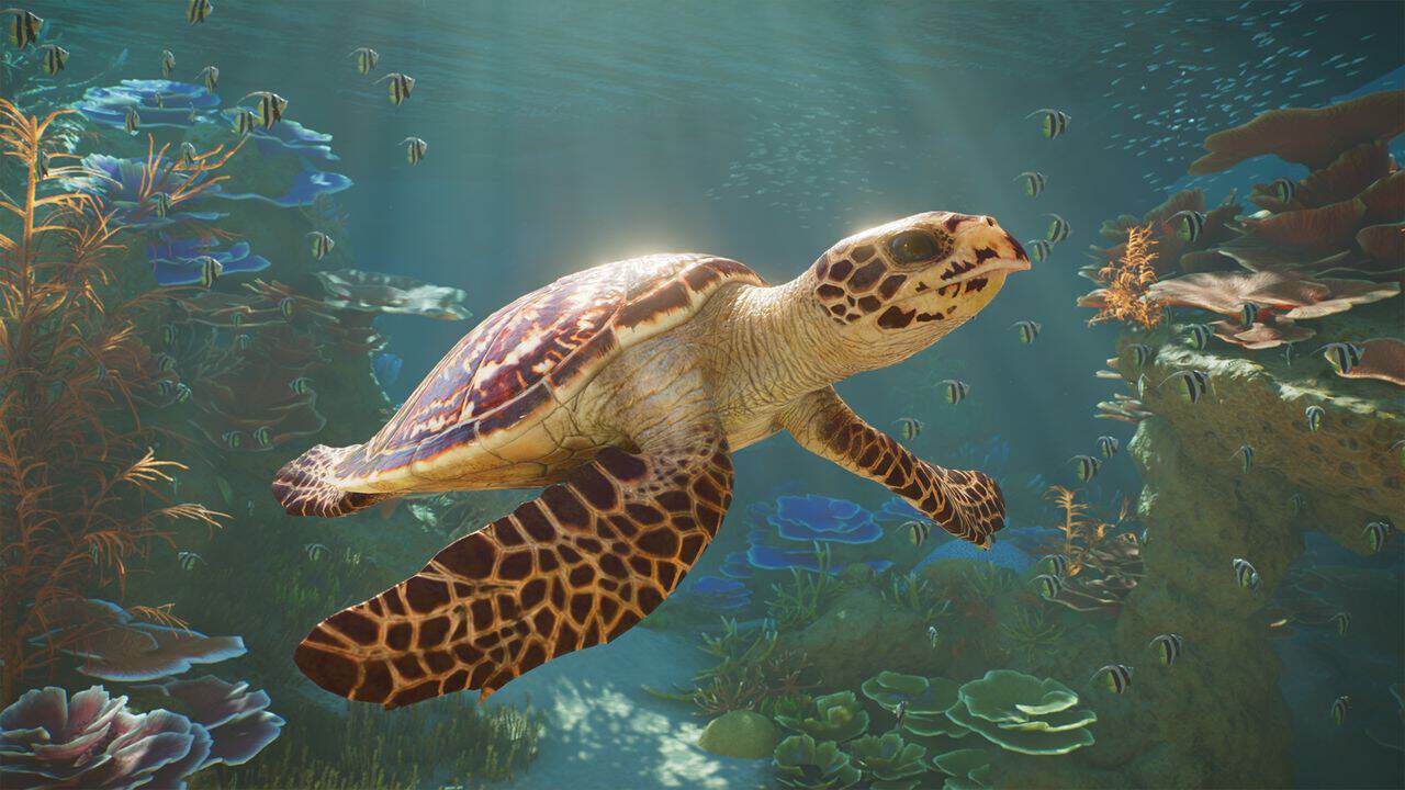 Turtle in Planet Zoo 2
