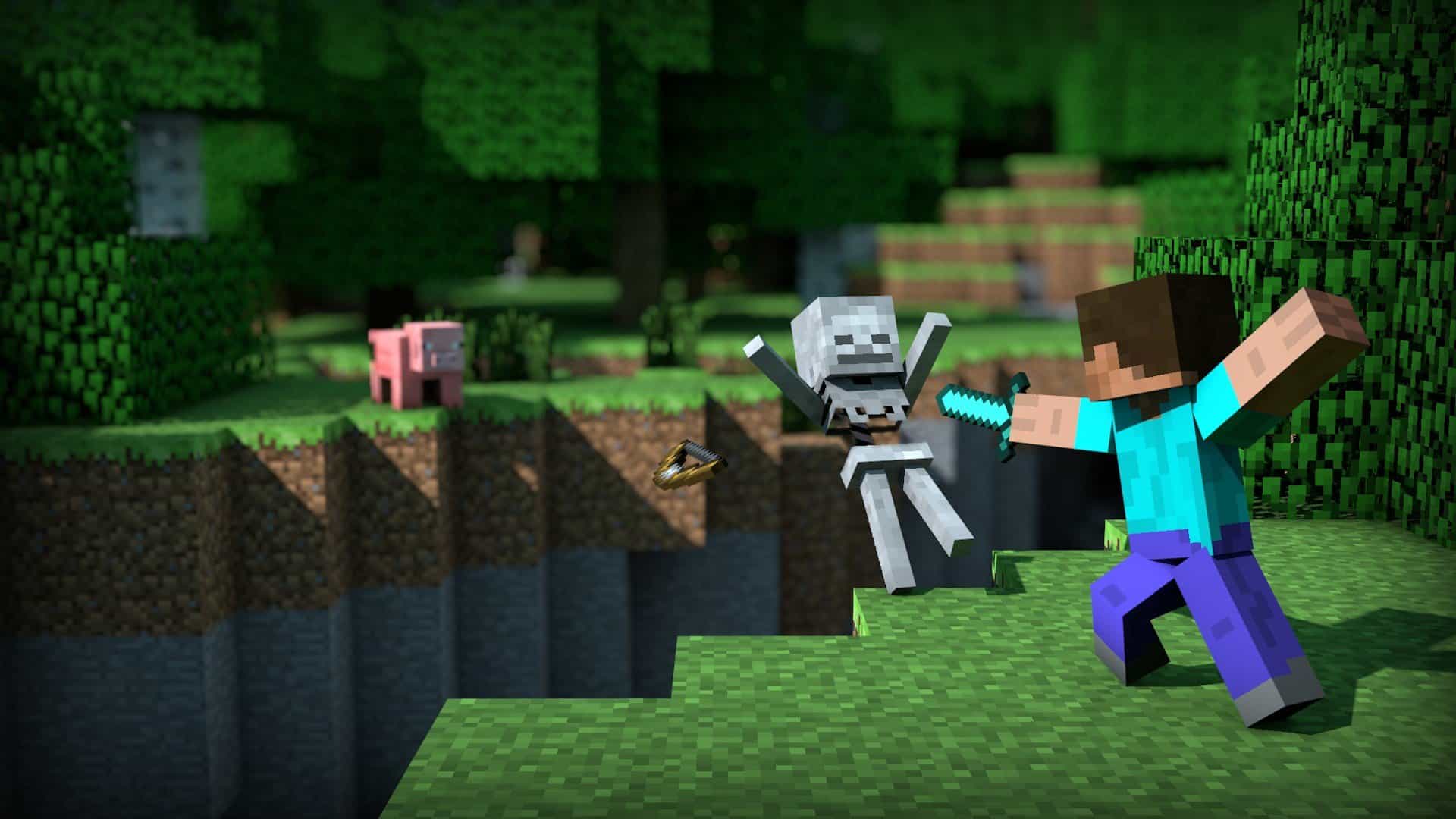 Minecraft success