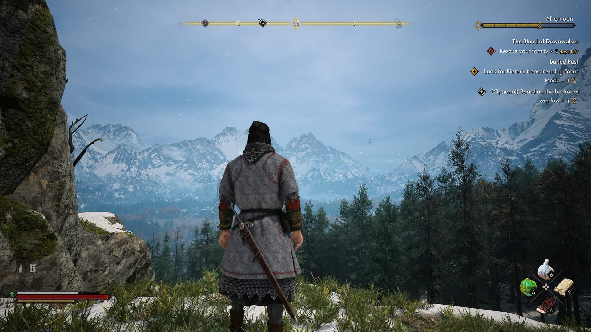 A screenshot of Coen looking at a view in The Blood of Dawnwalker.